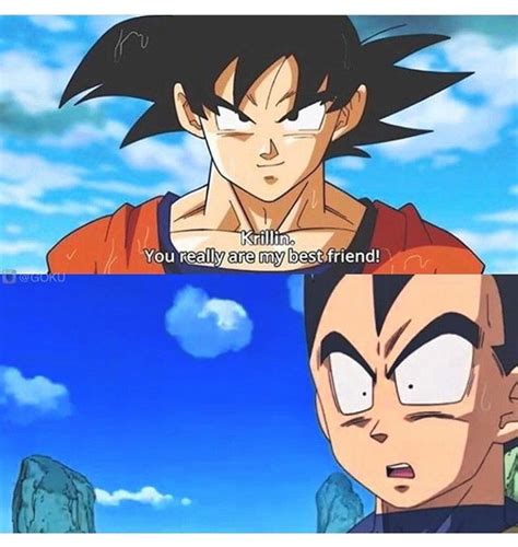 does vegeta hate goku|is vegeta goku's best friend.